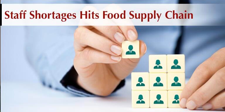 Staff Shortages hits Food Supply Chain